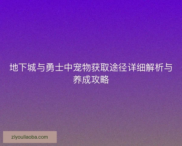地下城与勇士中宠物获取途径详细解析与养成攻略