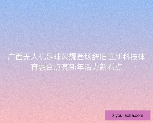 广西无人机足球闪耀登场辞旧迎新科技体育融合点亮新年活力新看点